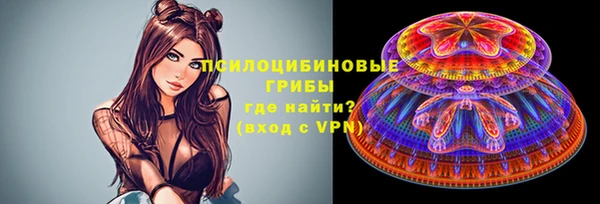 a pvp Коряжма