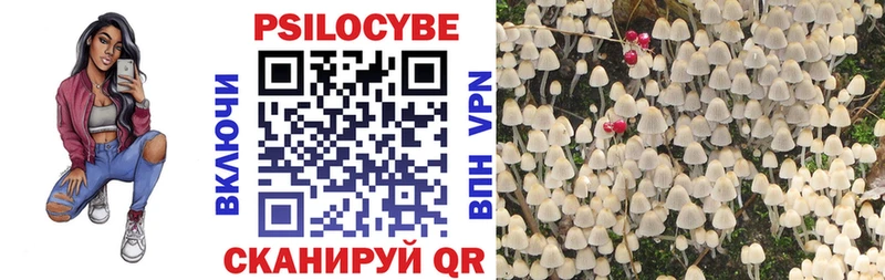 Псилоцибиновые грибы мухоморы Сухой Лог