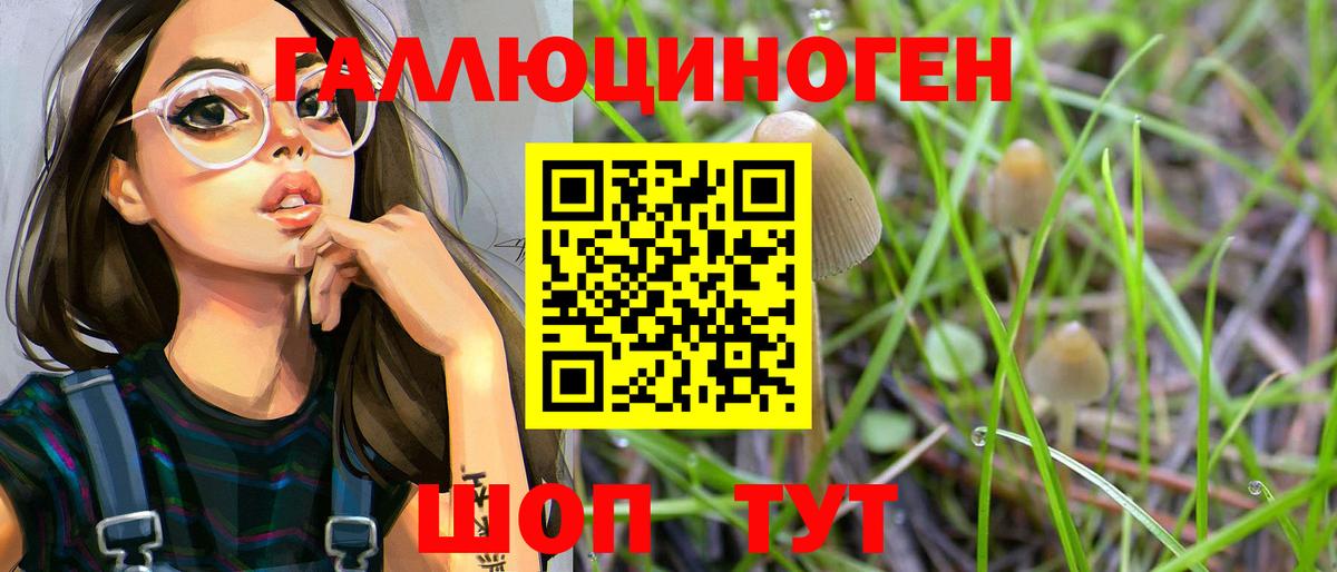 Галлюциногенные грибы ЛСД  хочу   Вход с VPN  Сухой Лог  Галлюциногенные грибы GOLDEN TEACHER 
