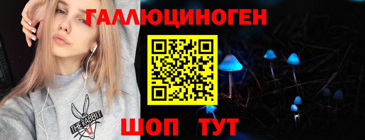Галлюциногенные грибы Psilocybe Сухой Лог