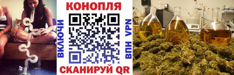 omg tor Сухой Лог Марихуана сатива